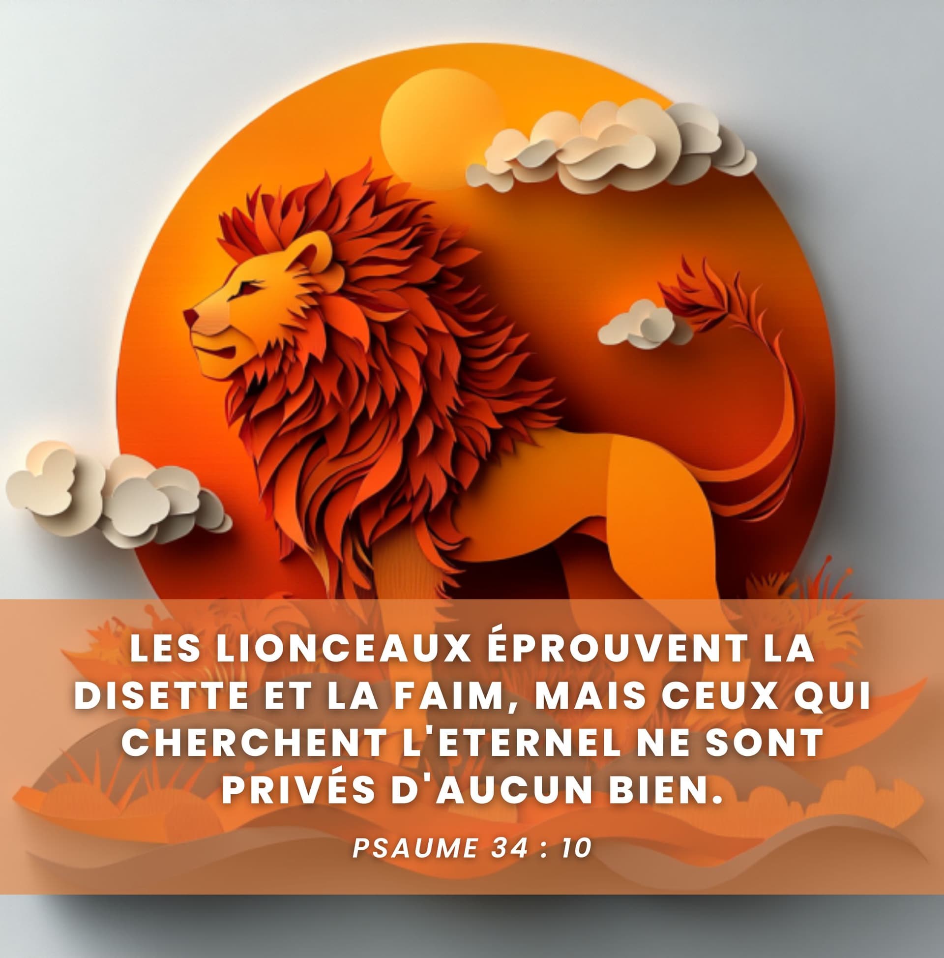 Image de la BD 12