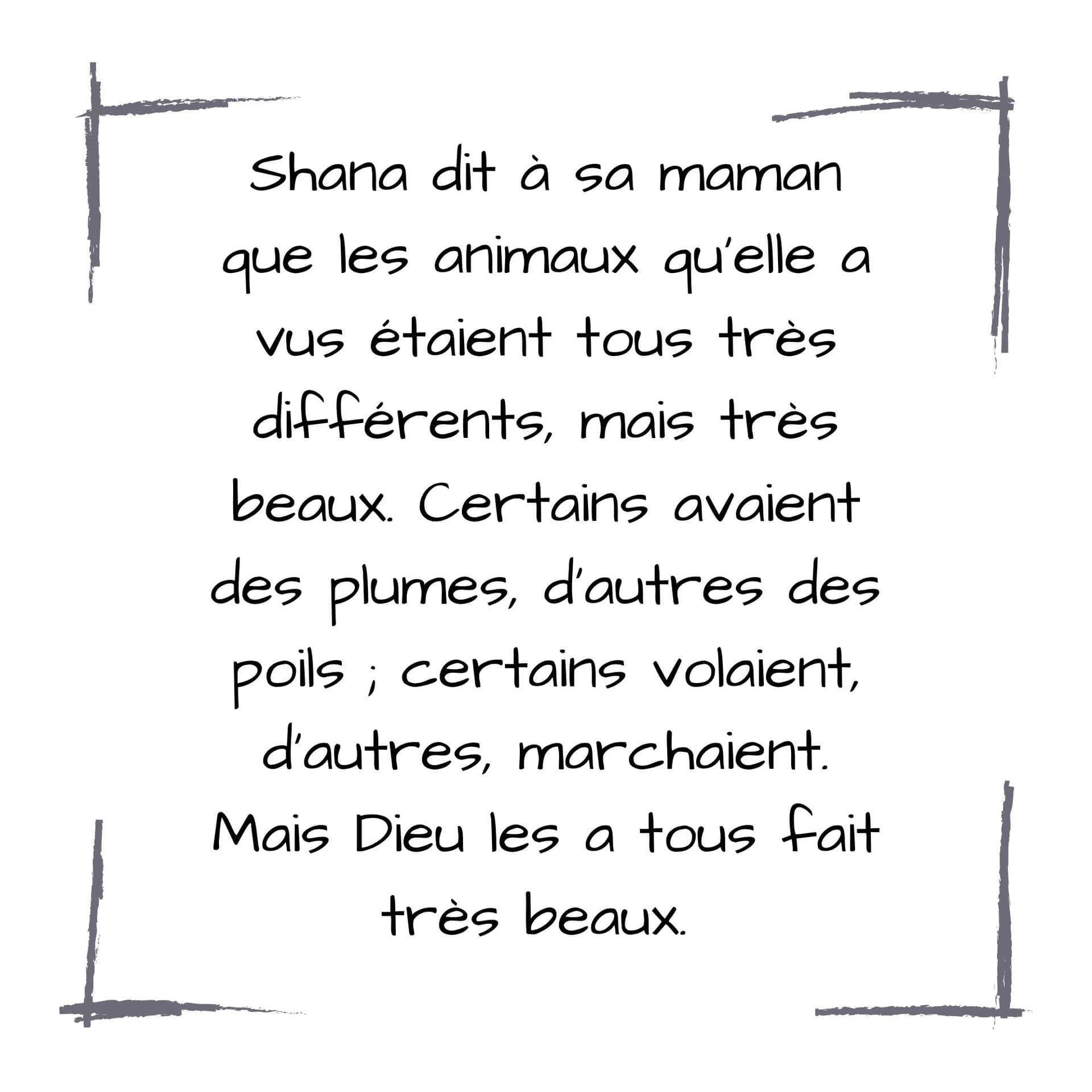 Image de la BD 28