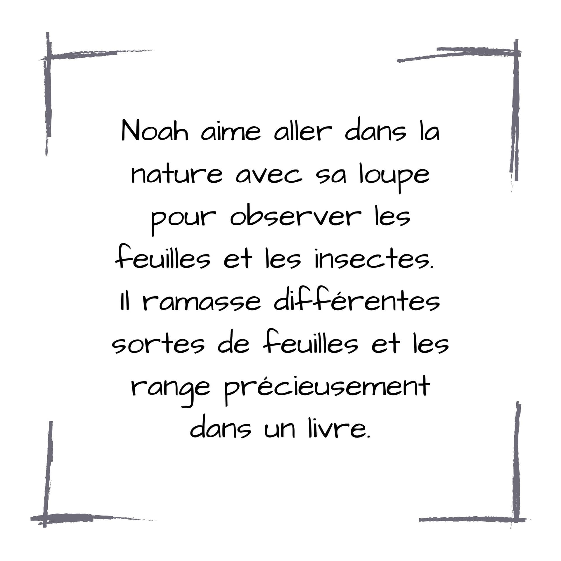 Image de la BD 6