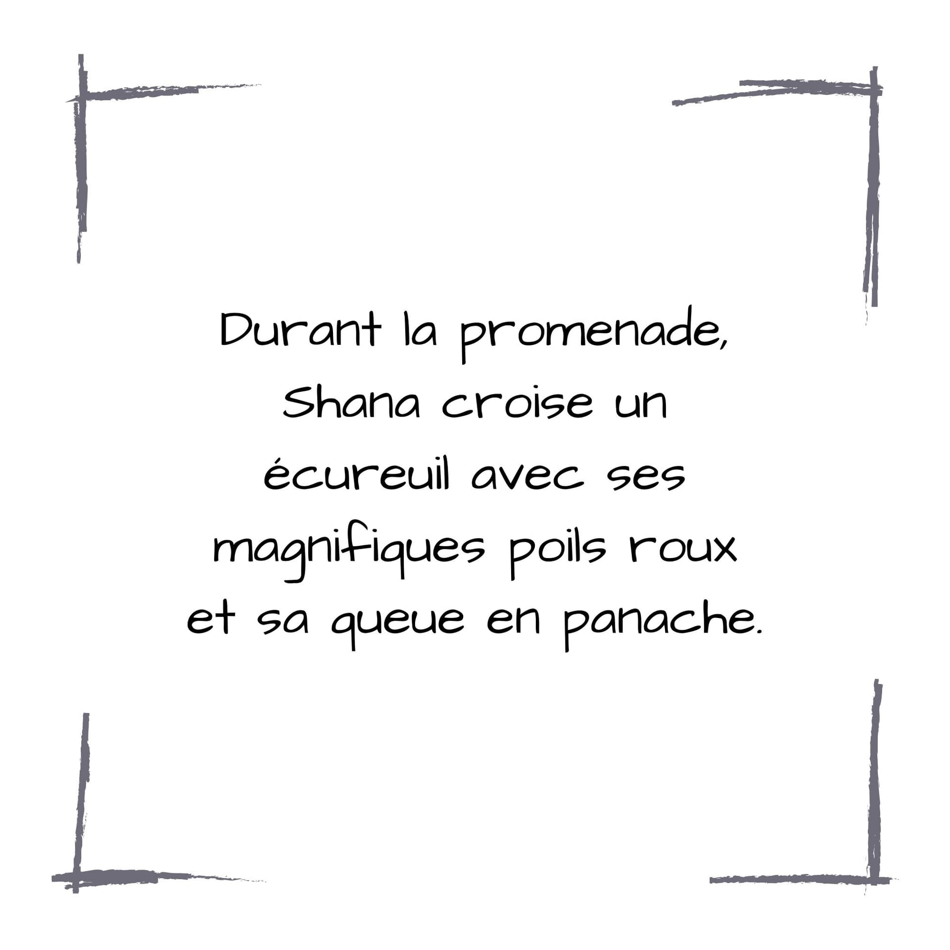 Image de la BD 20
