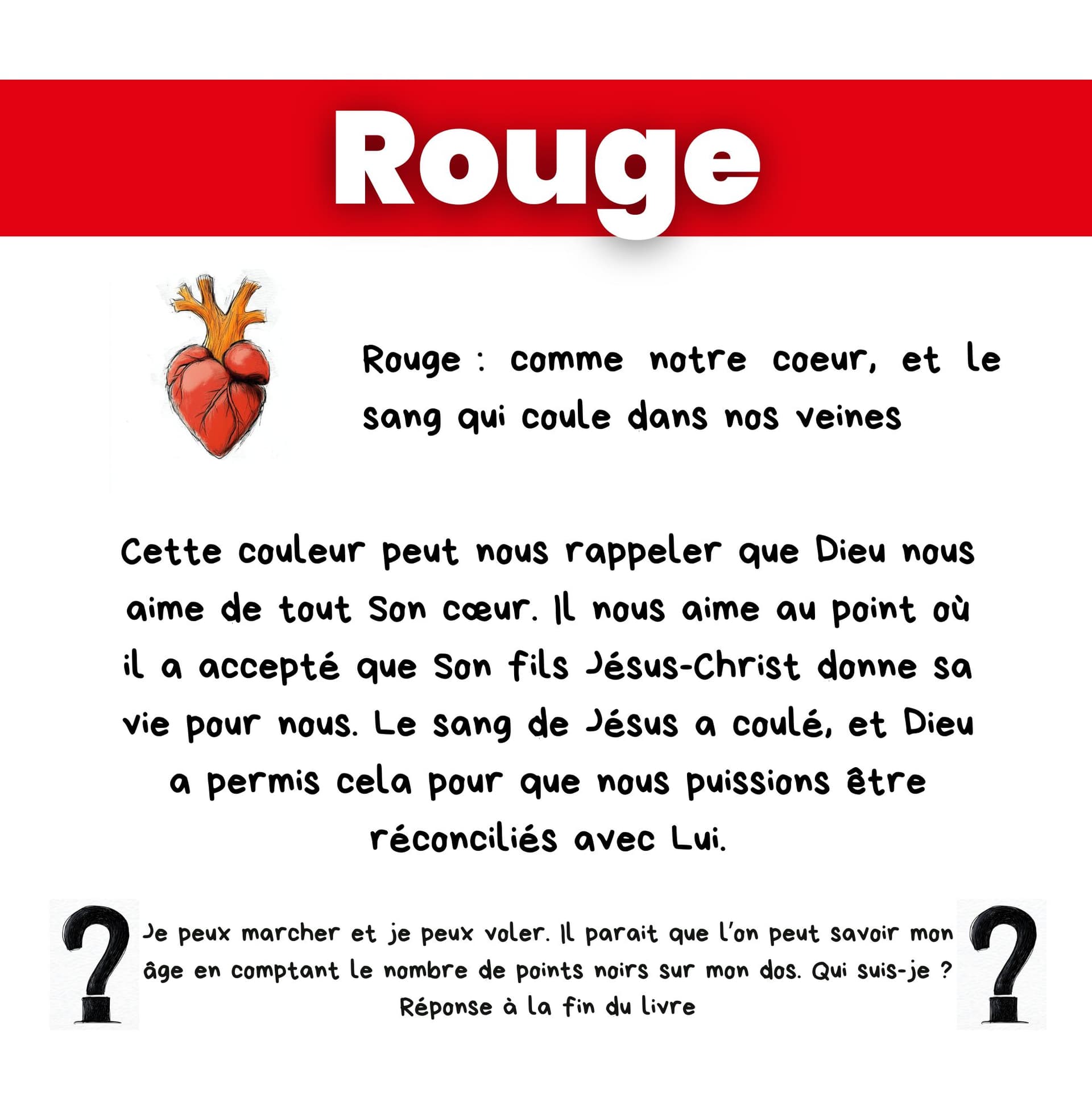 Image de la BD 9