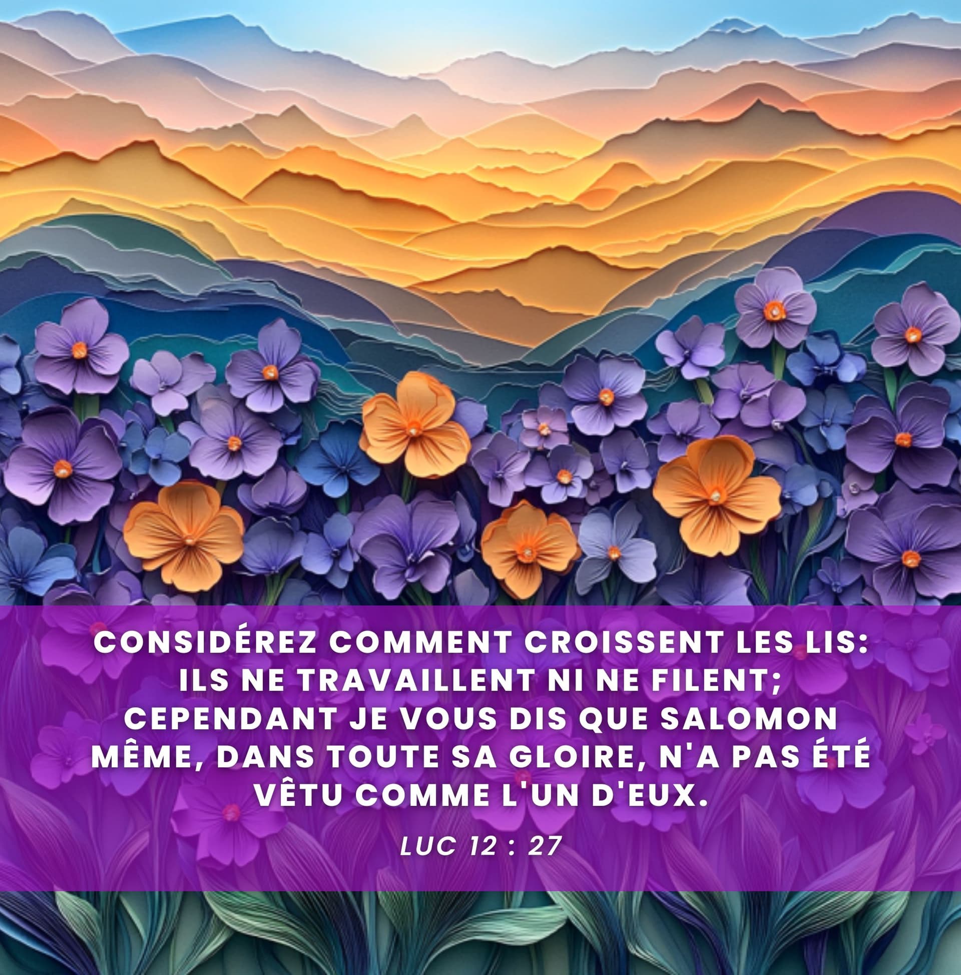 Image de la BD 14