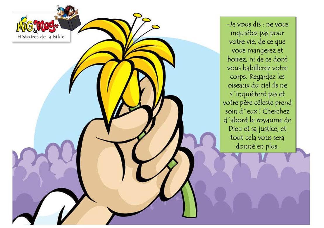 Image de la BD 12