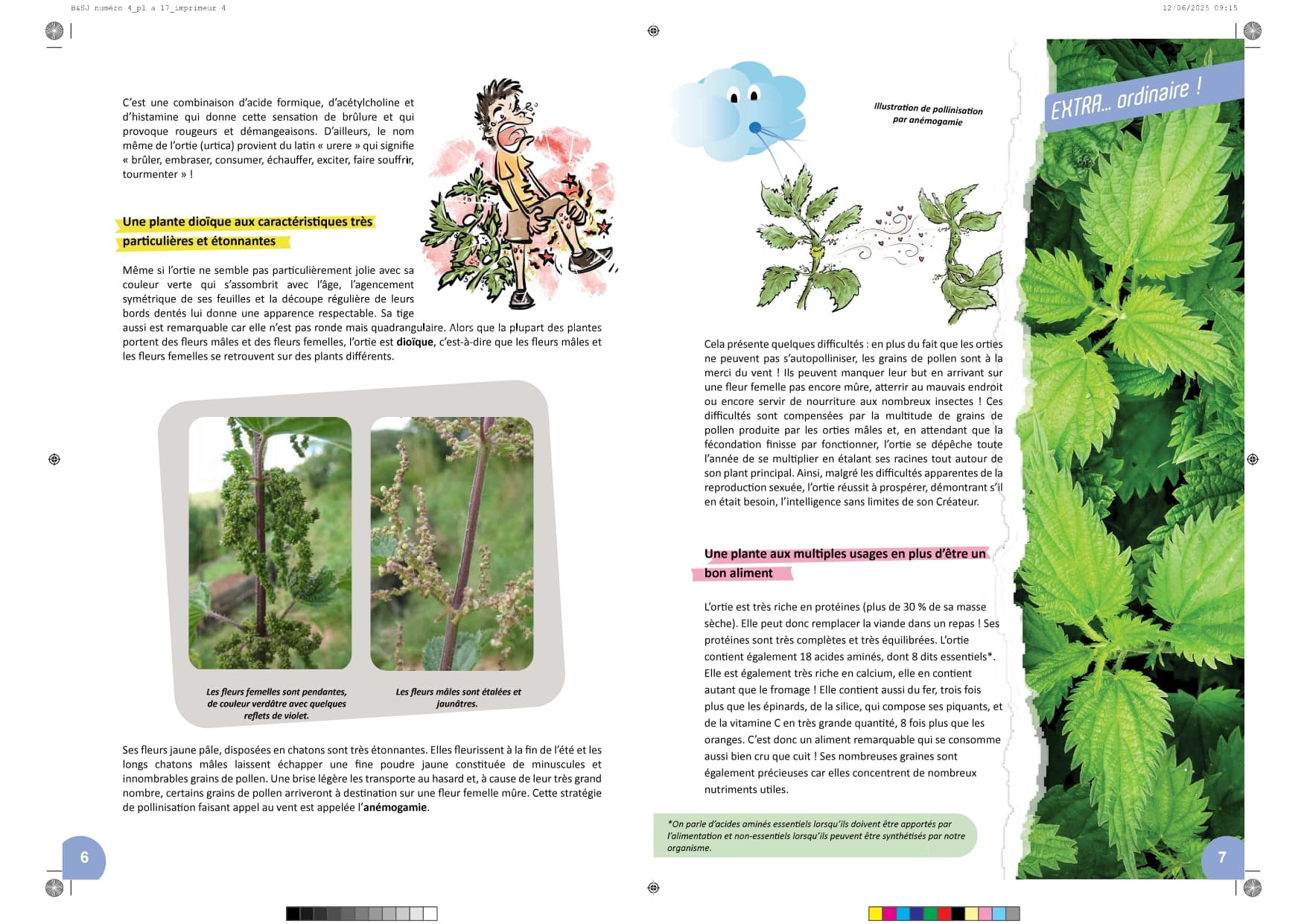 Image de la BD 4