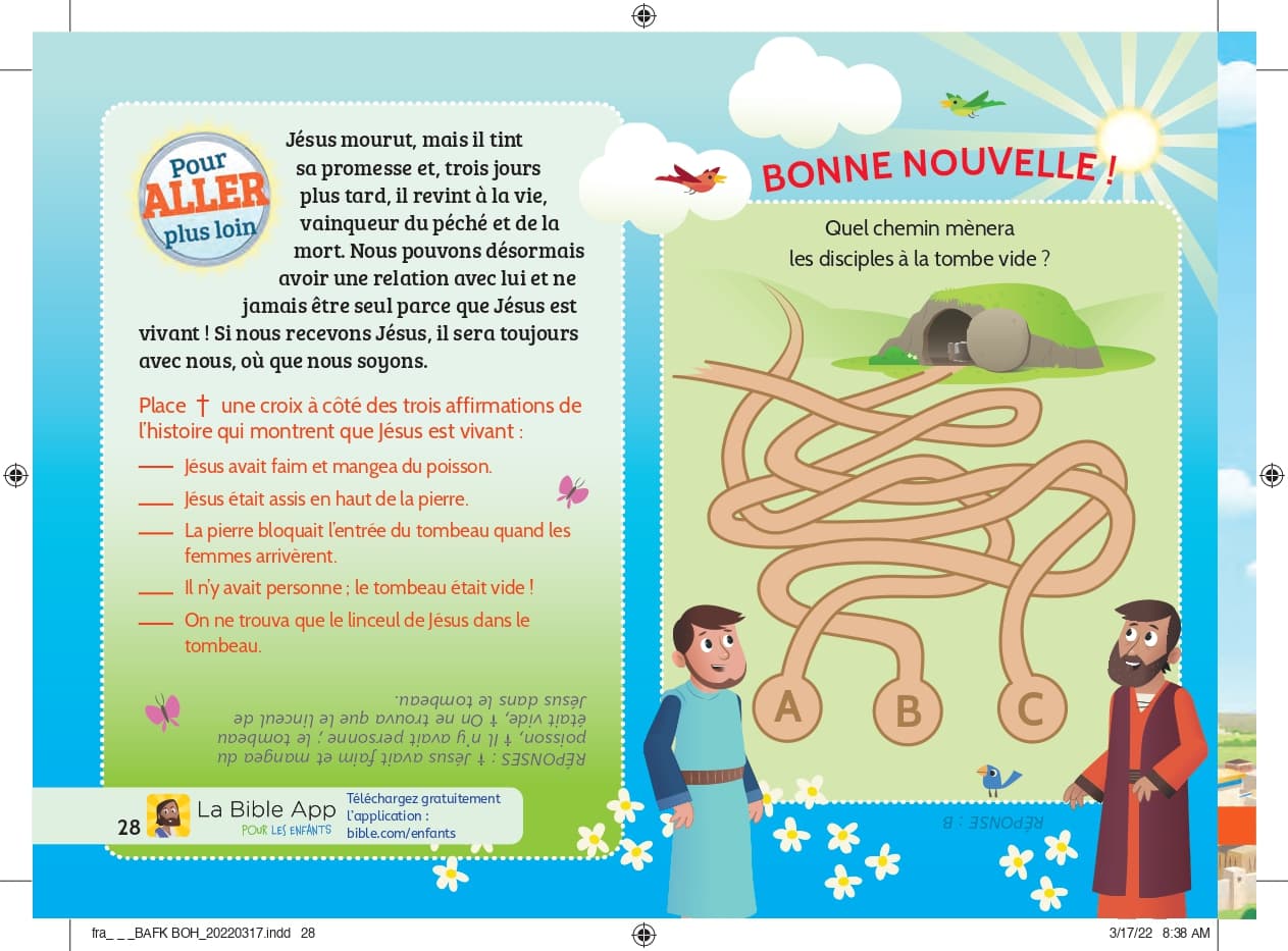 Image de la BD 29