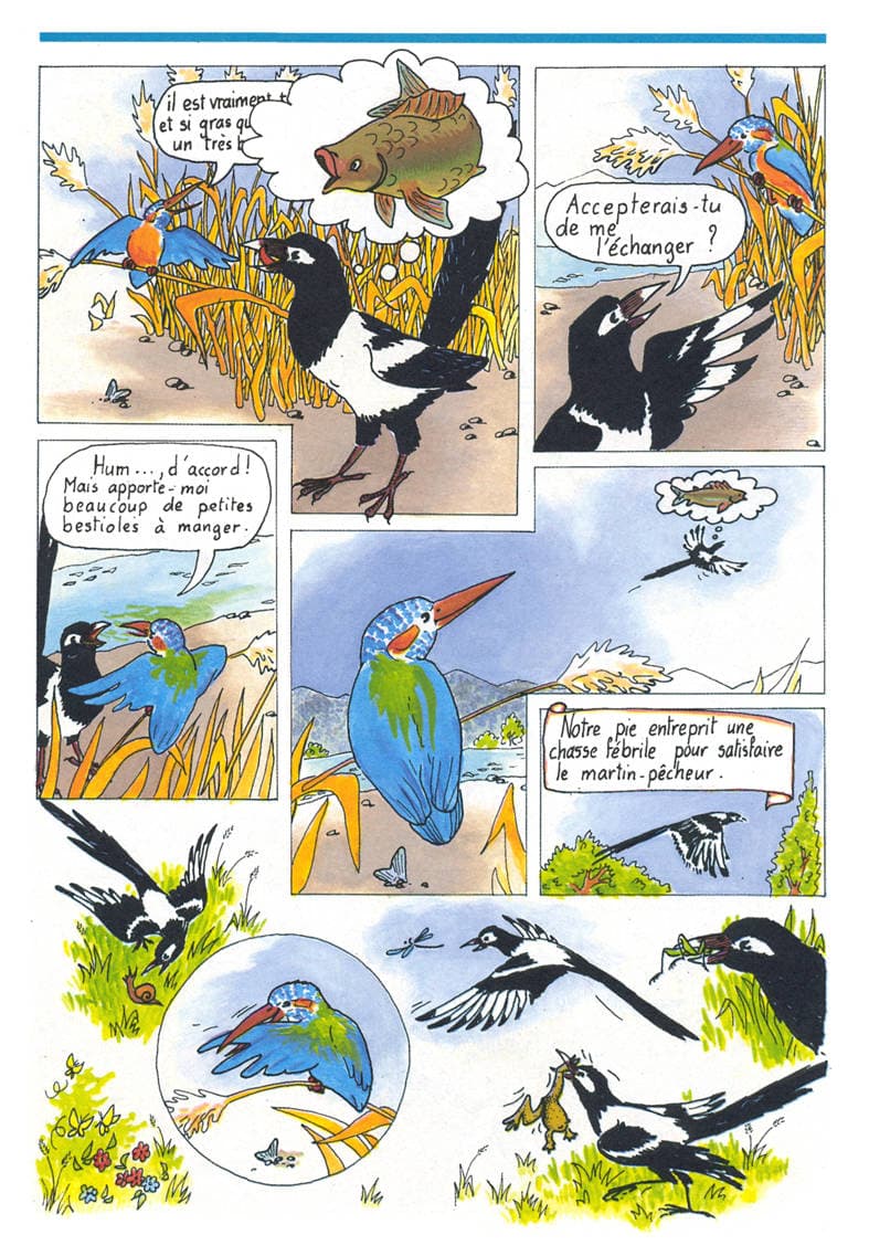 Image de la BD 3