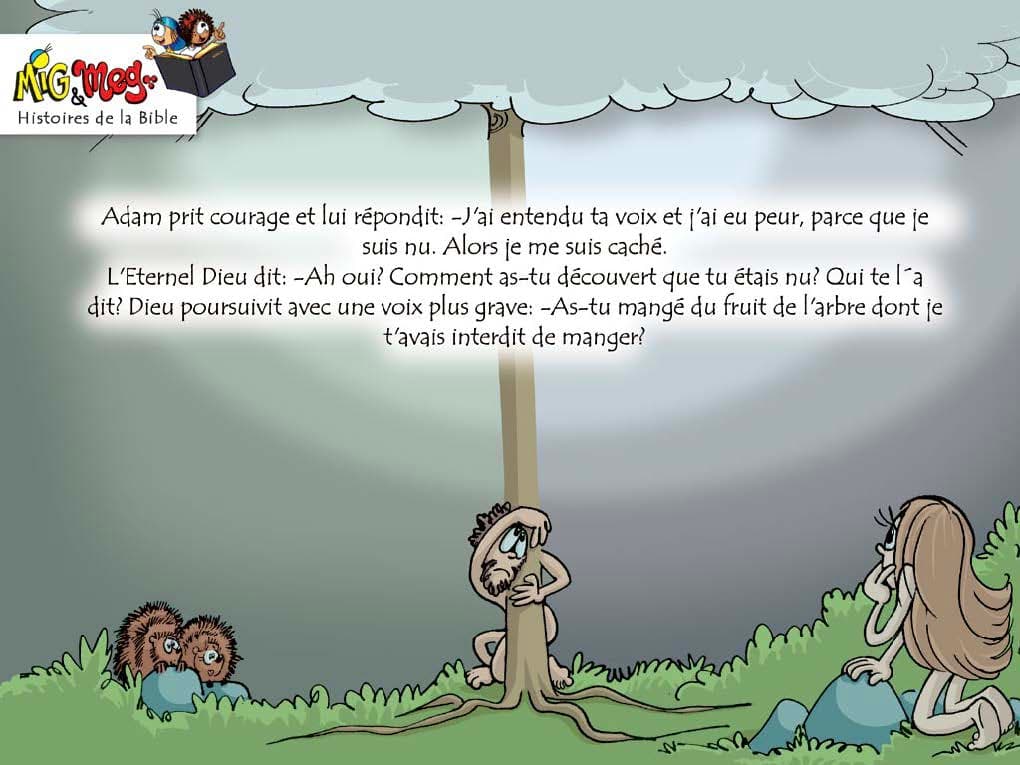 Image de la BD 8